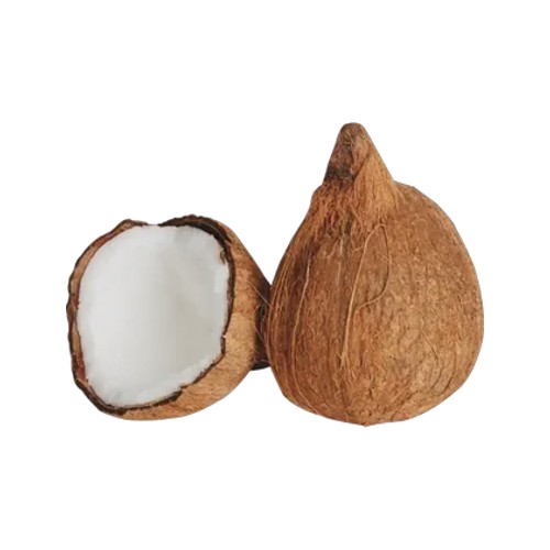 coconut