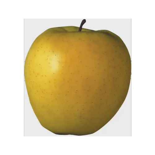 extra large golden delicious apple
