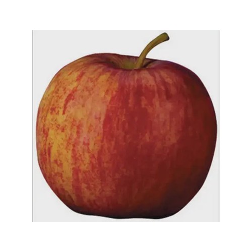 extra large starking apple