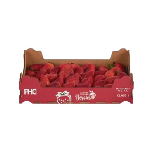 strawberries tray 1kg