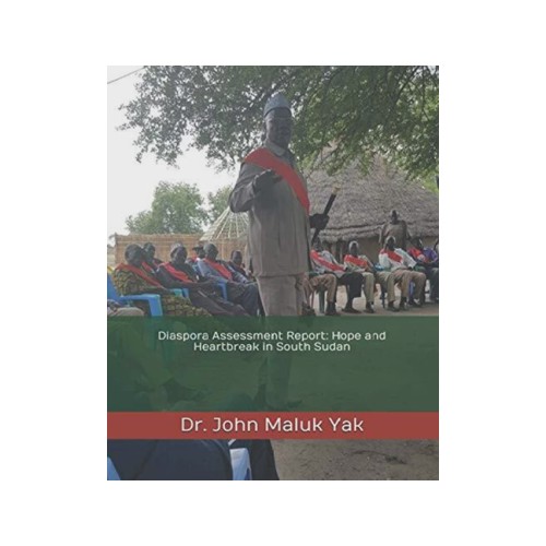 Diaspora Assessment Report Hope and Heartbreak in Sout