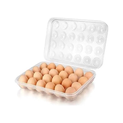 Formosa Plastic Egg Container - 24 Unit
