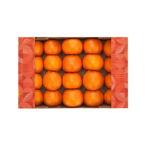 pnp soft citrus half tray