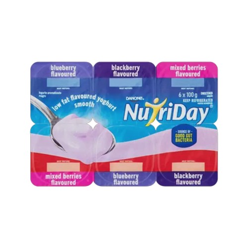 Danone Nutriday Assorted Low Fat Smooth Yoghurt 6 x 100g