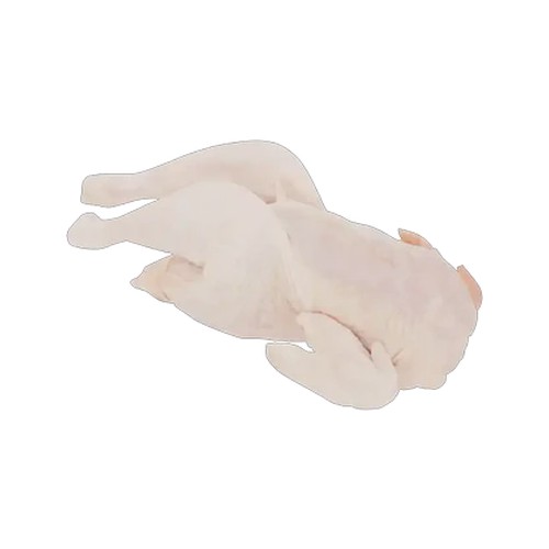 frozen hard body chicken 1200g - 1400g