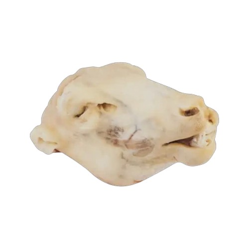 Frozen Sheep Head 1000g - 1200g