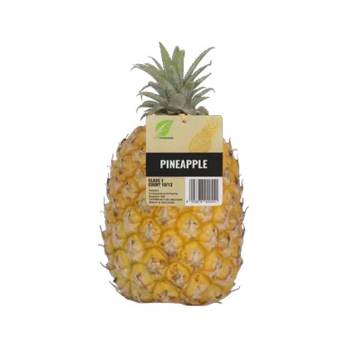 medium queen pineapple